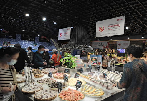 鲳鱼冰台 二手日用百货的摄影素材与零售新场景